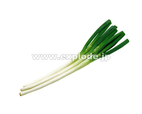 079�F�l�M