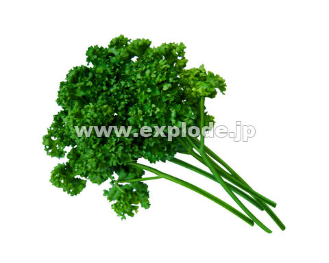 083�F�p�Z��