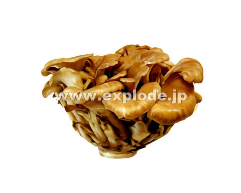 090�F�}�C�^�P