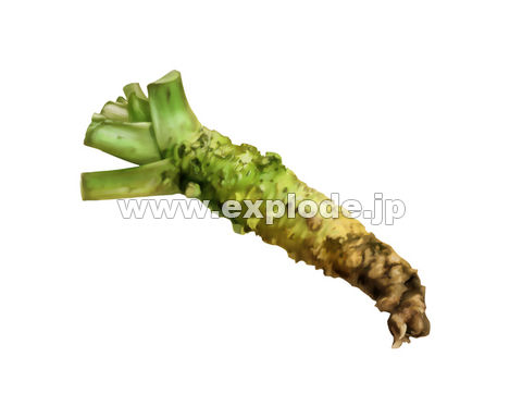 100�F���T�r