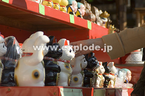 060�F�����L��G�鏗���̎�