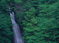 047：東京都　奥多摩　川苔谷　百尋の滝