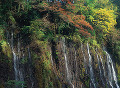 063：静岡県　白糸の滝