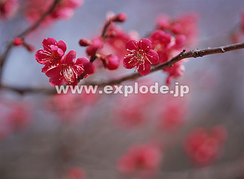 014�F�E��