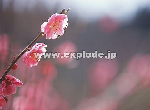 018�F�E��