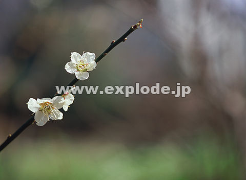 022�F�E��