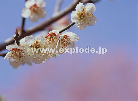 023�F�E��