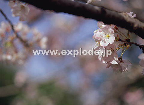 024�F�T�N��