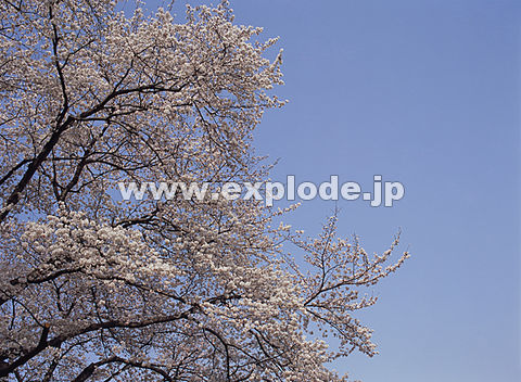 034�F�T�N��