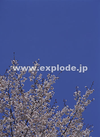 035�F�T�N��