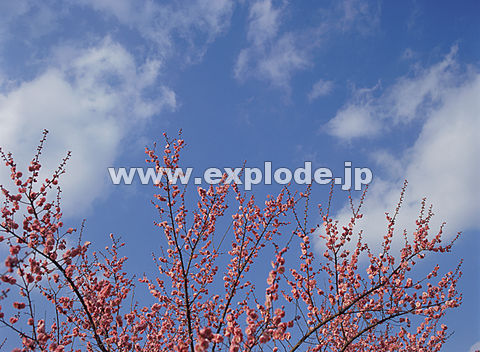 042�F�E��