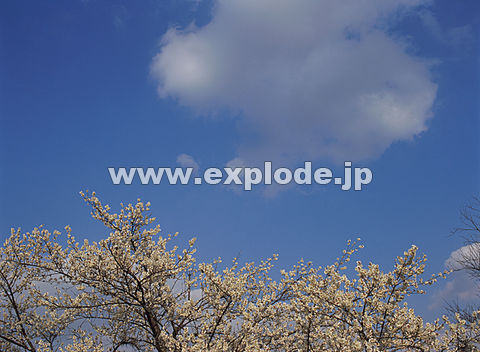 044�F�E��