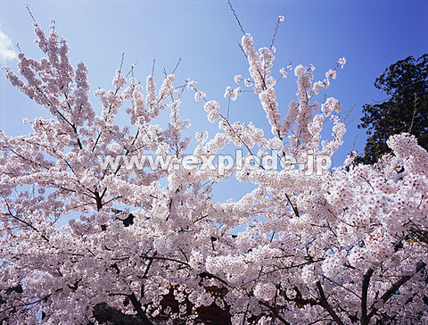 022�F�d���_��
