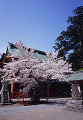 018：鹽竃神社