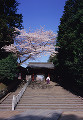 019：鹽竃神社