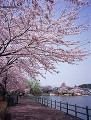 073：高松公園