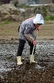 070：畑を耕す農家の女性