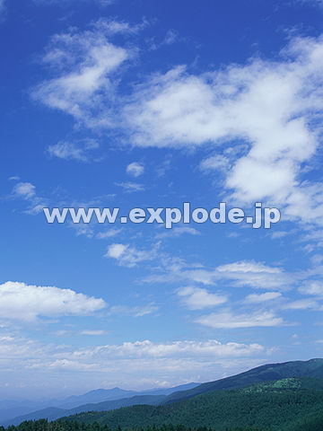011�F���쌧�@���{�b�`����
