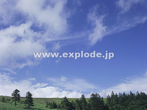 029�F���쌧�@�����􍂌�