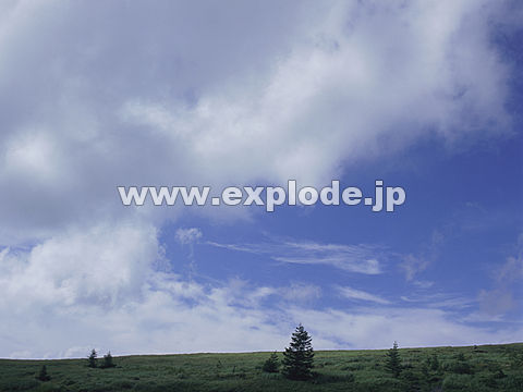 030�F���쌧�@�����􍂌�