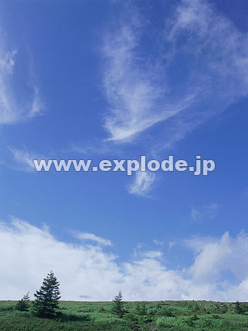 031�F���쌧�@�����􍂌�