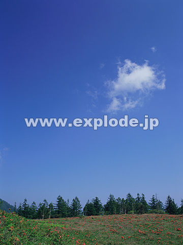074�F�R�����@�×��R