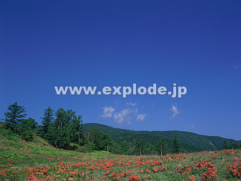 077�F�R�����@�×��R