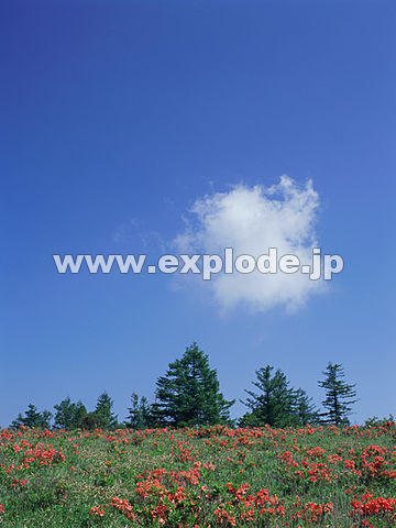 080�F�R�����@�×��R