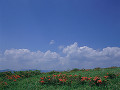 052：長野県　霧ヶ峰高原