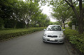 008：東京都　並木道に停まっている自動車
