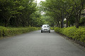 009：東京都　並木道を走る自動車