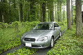 019：山梨県　山中湖　林の中に停まっている自動車