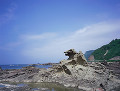 046：ゴジラ岩