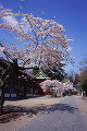 082：鹽竈神社