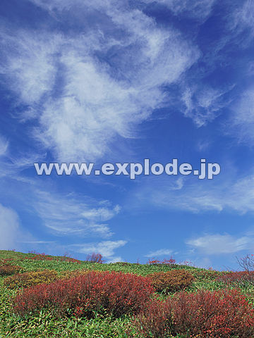006�F���Ô����R