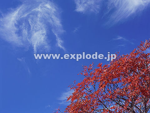014�F���Ô����R