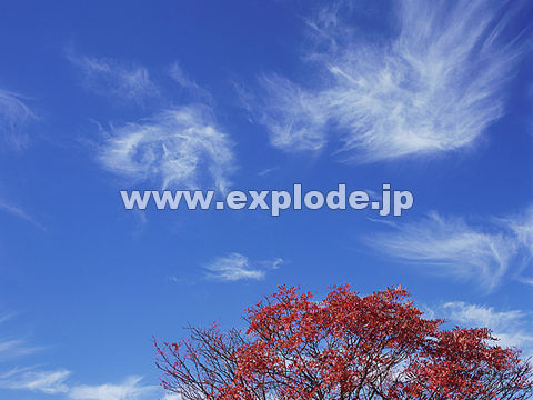 015�F���Ô����R