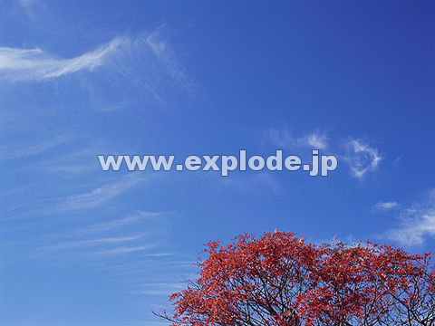 016�F���Ô����R