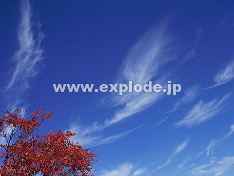 017�F���Ô����R