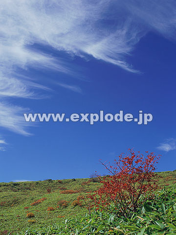 019�F���Ô����R