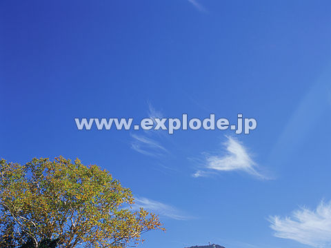 030�F�u�ꍂ��