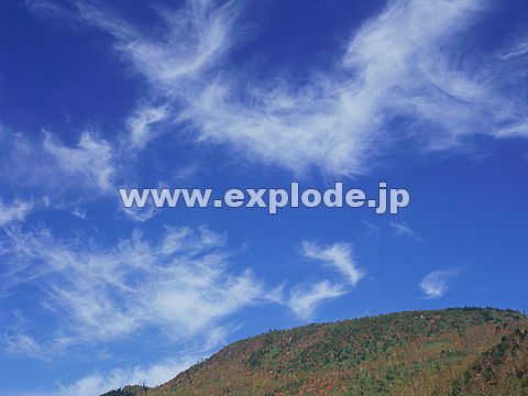 031�F�u�ꍂ��