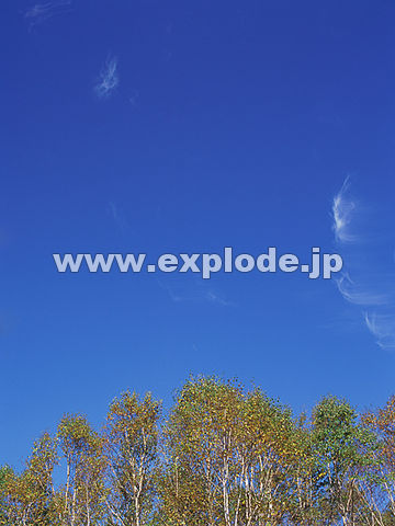 042�F�u�ꍂ��