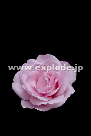 017�F�o���i�`�F���[�G�~�j