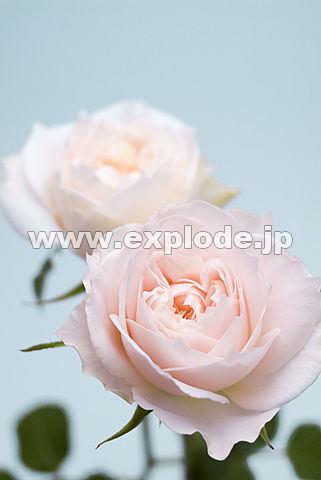 034�F�o��