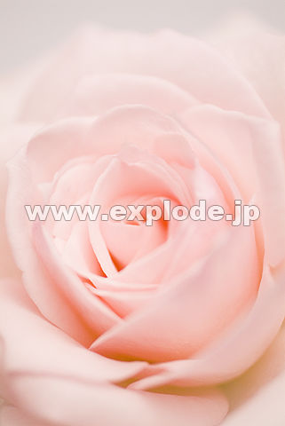 044�F�o��