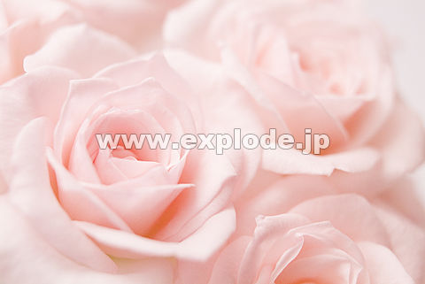 045�F�o��