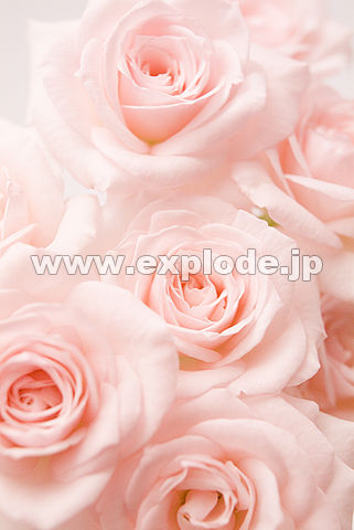 046�F�o��