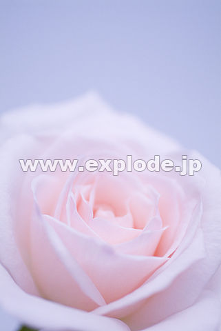 047�F�o��