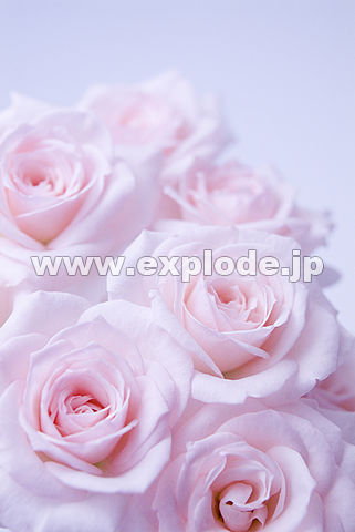 050�F�o��